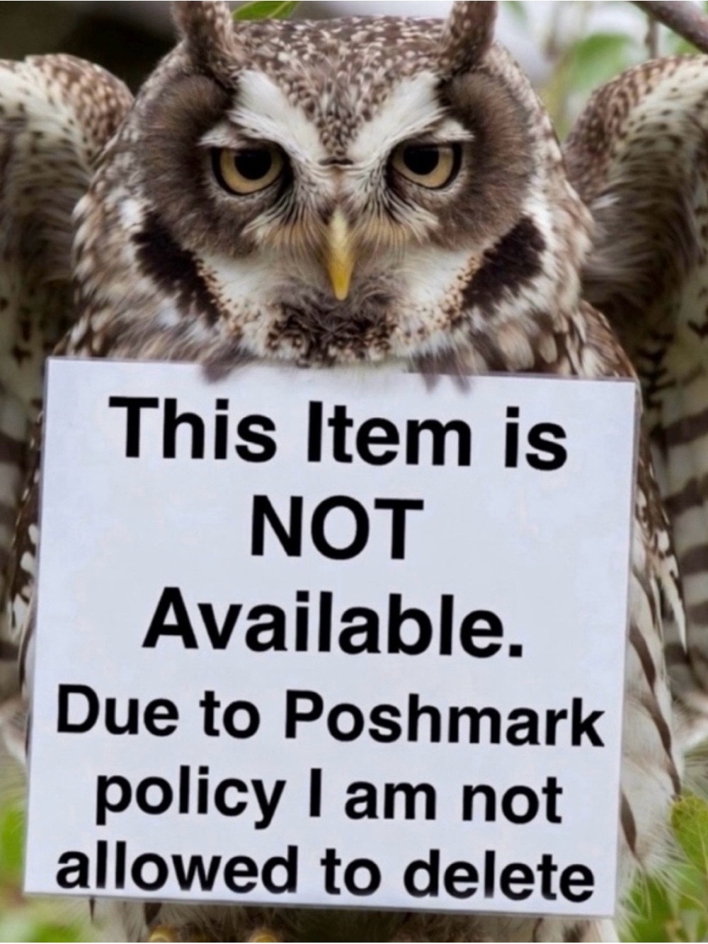 NOT AVAILABLE